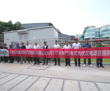 蒙娜麗莎西樵生產基地分布式光伏發(fā)電項目順利并網