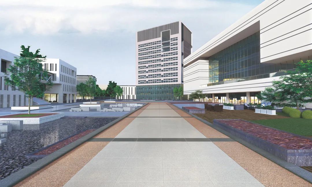 1682565949170131.jpg 6.jpg