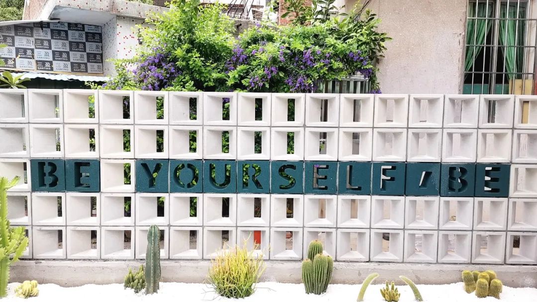 1684119145411950.jpg 3.jpg