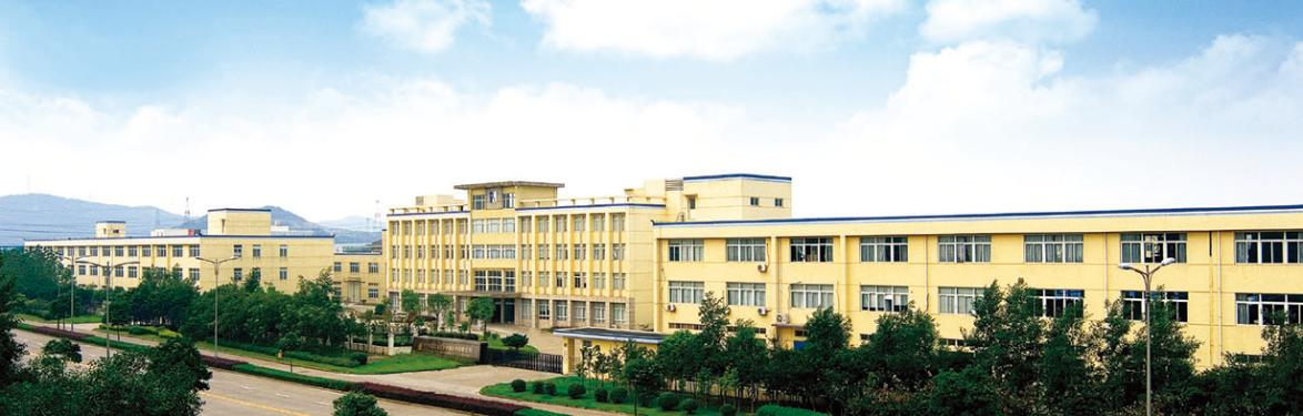 1703562212593810.png 帝朗21.png