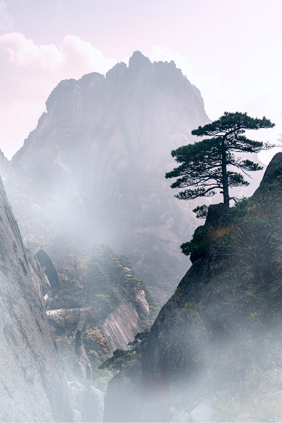 1705290473771576.png 640 (1).png