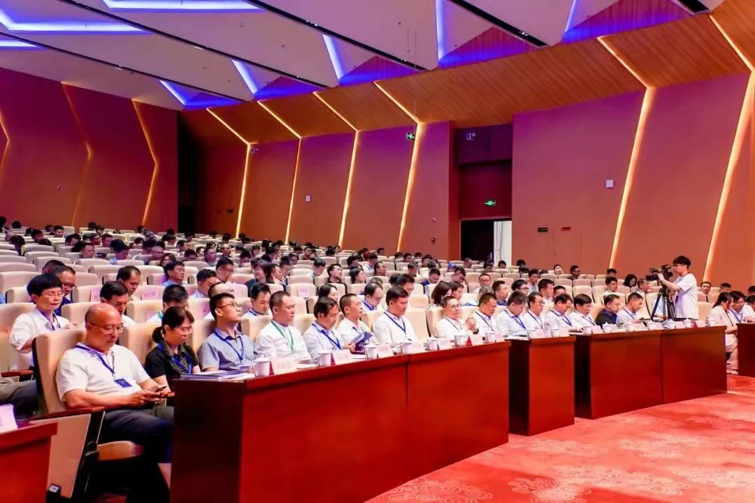 1716950622630741.jpg 9.jpg